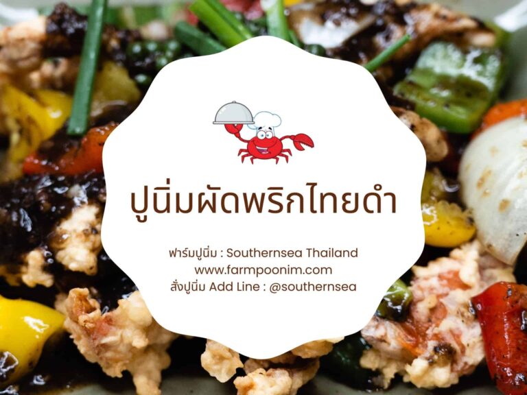 ปูนิ่มผัดพริกไทยดำ