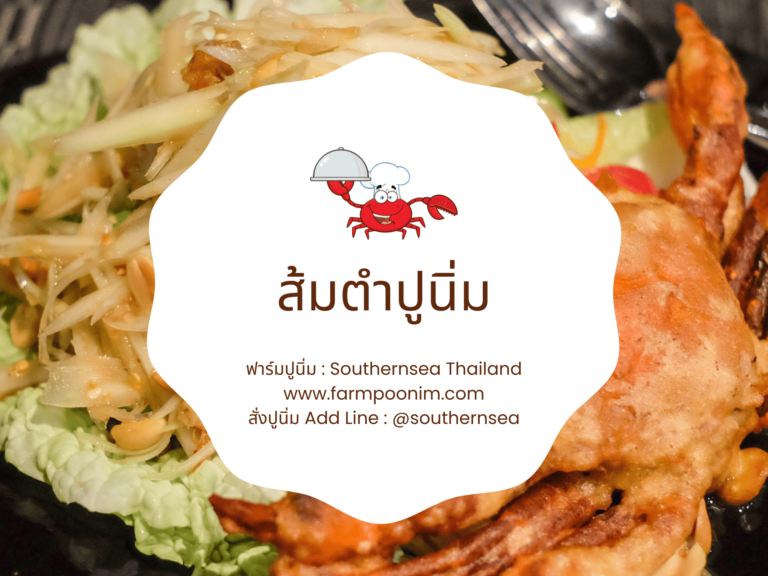 เมนูปูนิ่ม : ส้มตำปูนิ่ม