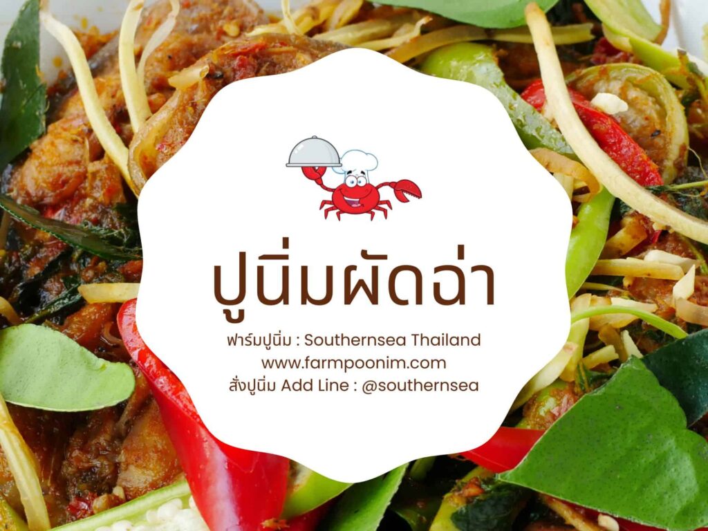 ปูนิ่มผัดฉ่า